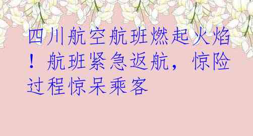 四川航空航班燃起火焰！航班紧急返航，惊险过程惊呆乘客