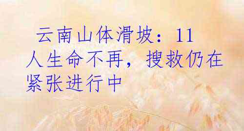  云南山体滑坡：11人生命不再，搜救仍在紧张进行中