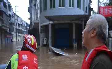  猪的“劫后余生”：垫江暴雨中的温情一幕