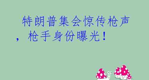  特朗普集会惊传枪声，枪手身份曝光！