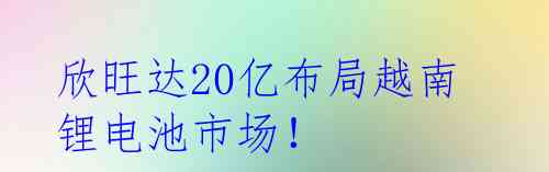 欣旺达20亿布局越南锂电池市场！