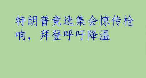 特朗普竞选集会惊传枪响，拜登呼吁降温