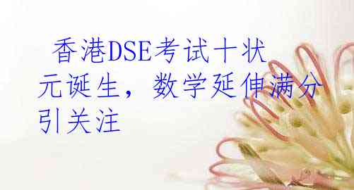  香港DSE考试十状元诞生，数学延伸满分引关注