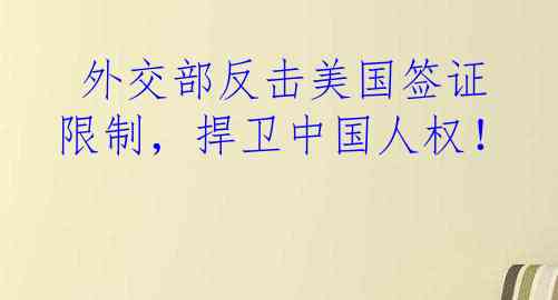  外交部反击美国签证限制，捍卫中国人权！