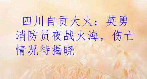 四川自贡大火：英勇消防员夜战火海，伤亡情况待揭晓