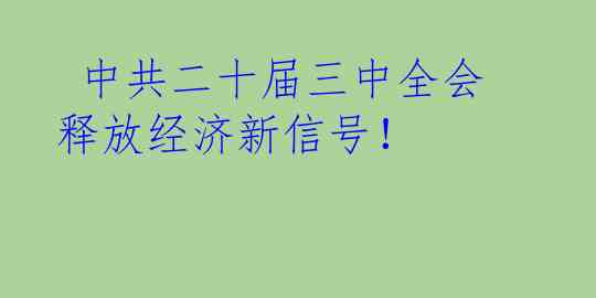  中共二十届三中全会释放经济新信号！