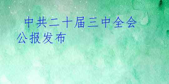  中共二十届三中全会公报发布