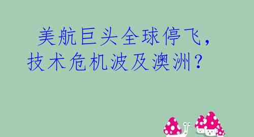  美航巨头全球停飞，技术危机波及澳洲？