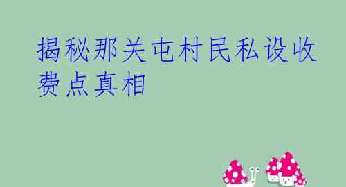 揭秘那关屯村民私设收费点真相