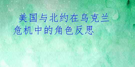  美国与北约在乌克兰危机中的角色反思