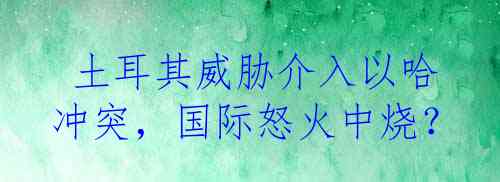  土耳其威胁介入以哈冲突，国际怒火中烧？