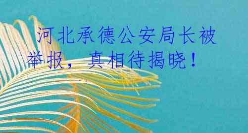  河北承德公安局长被举报，真相待揭晓！