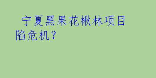  宁夏黑果花楸林项目陷危机？