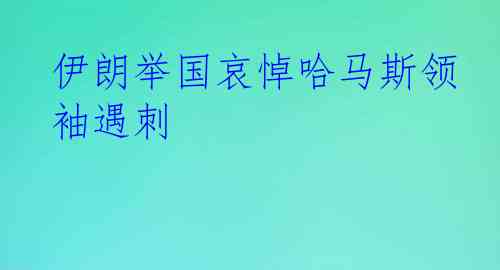 伊朗举国哀悼哈马斯领袖遇刺