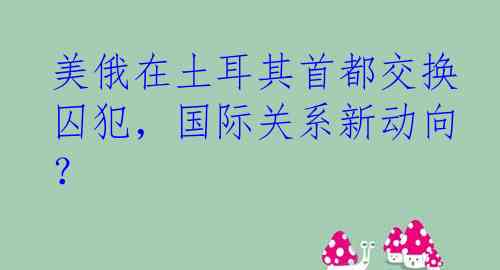 美俄在土耳其首都交换囚犯，国际关系新动向？