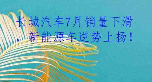 长城汽车7月销量下滑，新能源车逆势上扬！