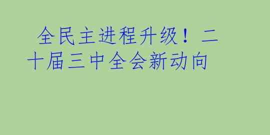  全民主进程升级！二十届三中全会新动向