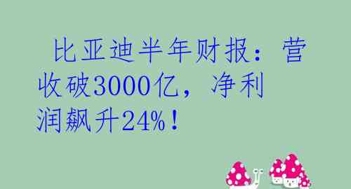  比亚迪半年财报：营收破3000亿，净利润飙升24%！